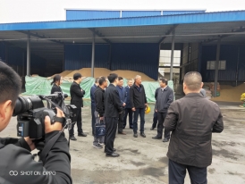 湖北麻豆AV在线免费批发